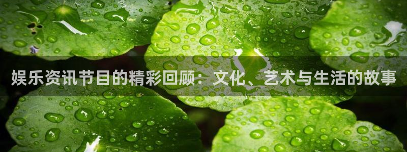 娱乐资讯节目的精彩回顾：文化、艺术与生活