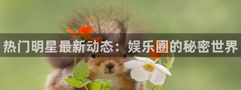 热门明星最新动态：娱乐圈的秘密世界